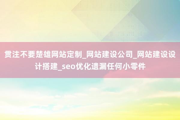 贯注不要楚雄网站定制_网站建设公司_网站建设设计搭建_seo优化遗漏任何小零件